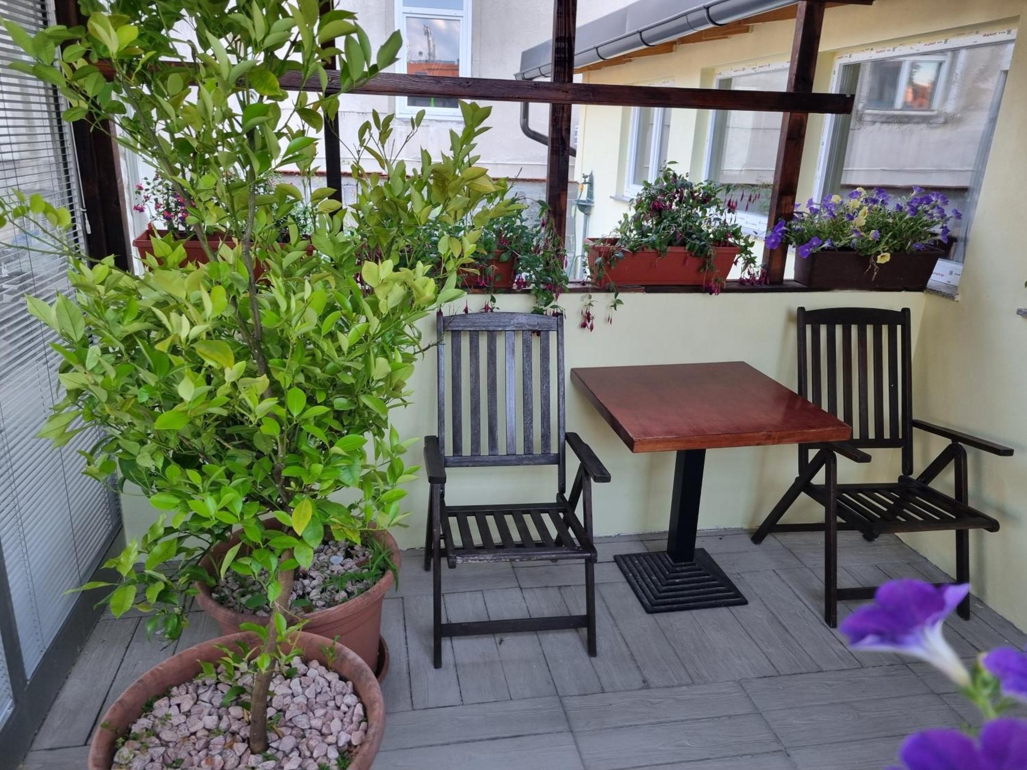Apartments Fazarinc S Parkiriscem Celje Eksteriør bilde